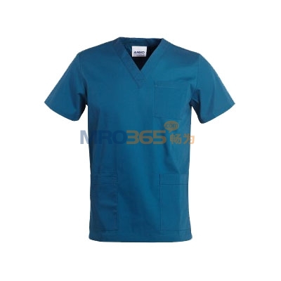 ��ŵ 09SS001 ������