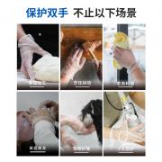 ����˹ AMMEX  PGLOVE100C-2 �޷�һ����PE���� (100ֻ/����50��/�䣩