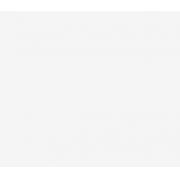 MSA 10042621 ����̽��(1Ӣ��)