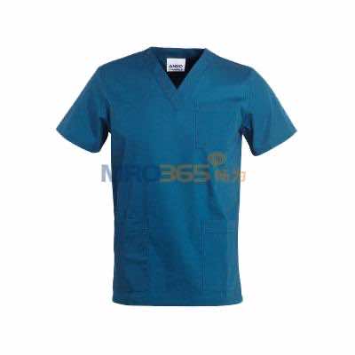 ��ŵ 09SS001 ������